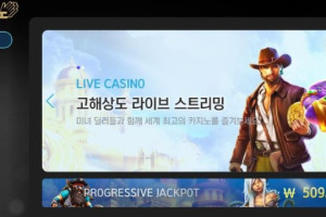 카지노사이트 땡큐카지노 (THANKYOU CASINO) 입금플러스 및 사이트정보